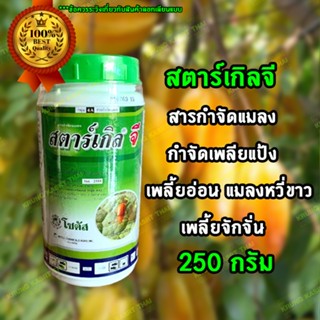 สตาร์เกิลจี กำจัดเพลียแป้ง สตาร์เกิลจี 250 กรัม