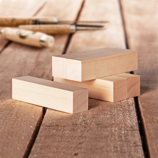 10Pcs Basswood Carving Block Natural Soft Wood Carving Block Portable Unfinished Wood Block