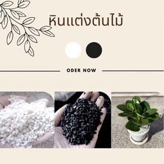 พร้อมส่ง หินโรยหน้ากระถาง หินตกแต่งกระถางต้นไม้ หินเกร็ด