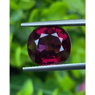 พลอย โรโดไลต์ การ์เน็ท Rhodolite Garnet 6.74 กะรัต (Cts.)