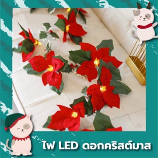 ไฟตกแต่ง LED ดอกคริสมาสต์ ไฟประดับตกแต่งบ้าน คริสมาสต์พร้อมส่งจากไทย !!
