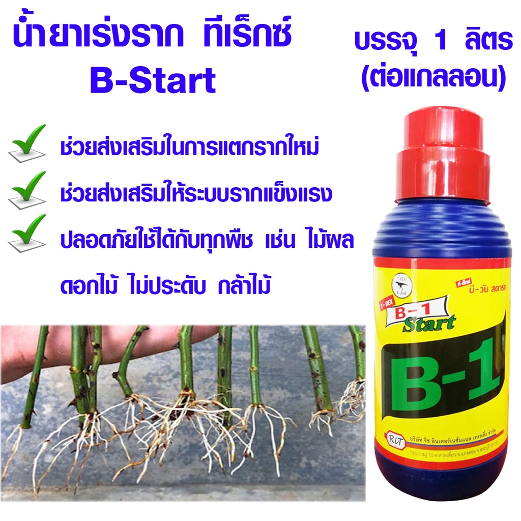 น้ำยาเร่งราก ทีเร็กซ์ B-Start ขนาด1ลิตร วิตามินบี-1 B1 ทีเร็กซ์ บีวัน-สตาร์ท เร่งราก เรียกราก ปุ๋ยเคมี T-Rex น้ำยาเร่ง