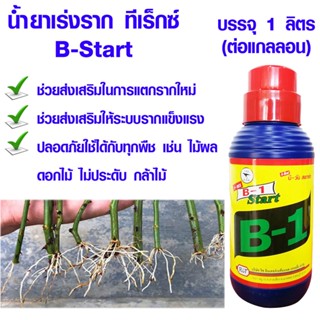 น้ำยาเร่งราก ทีเร็กซ์ B-Start ขนาด1ลิตร วิตามินบี-1 B1 ทีเร็กซ์ บีวัน-สตาร์ท เร่งราก เรียกราก ปุ๋ยเคมี T-Rex น้ำยาเร่ง