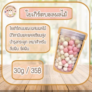 [Exotic land] โยเกิร์ตบอลผลไม้รวม สำหรับสัตว์ฟันแทะ