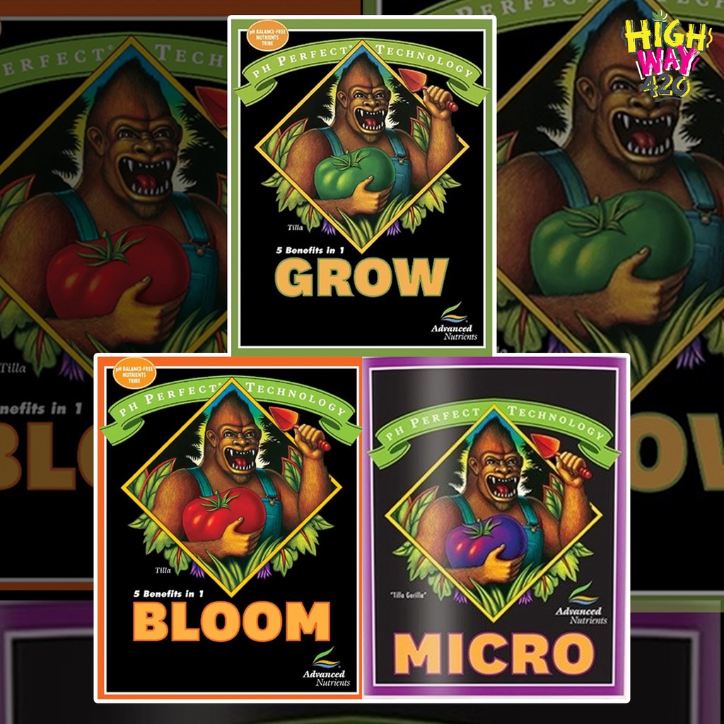 pH Perfect® Grow, Micro, Bloom / Advanced Nutrients ปุ๋ยหลัก ควบคุมและรักษาระดับค่า PH ให้อยู่ในช่วง