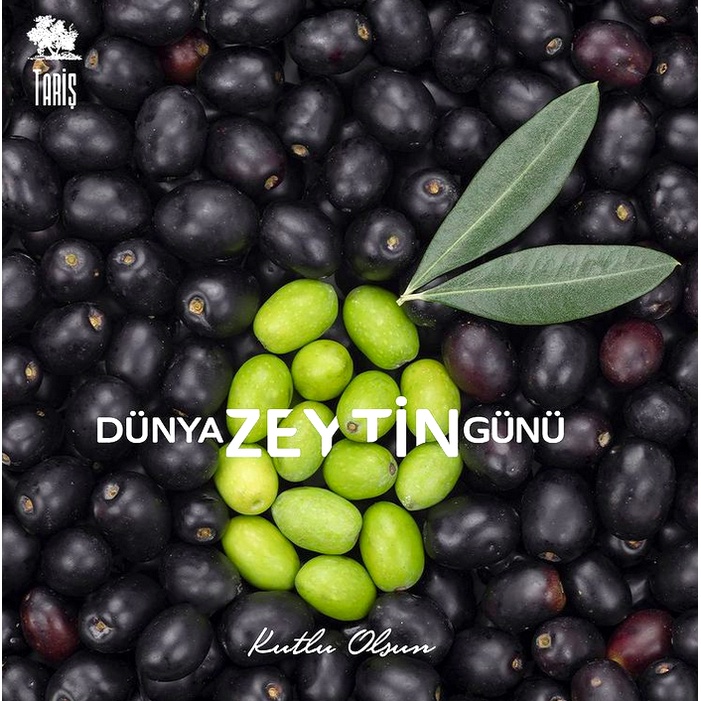 Taris Low-Salt Natural Black Olives 500 CC,ทาริสมะกอกดำในน้ำเกลือเค็มน้อย 500CC