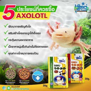 อาหารหมาน้ำ Hikari Axolotl 30g ชนิดเม็ดจม มีโปรตีน มากกว่า 47% ส่งตรงจากญี่ปุ่น มี 2 ขนาดให้เลือก