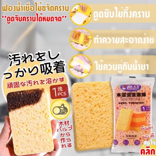 Decontamination Scouring Sponge ฟองน้ำเยื่อไม้ทำความสะอาดครัว 12 ชิ้น