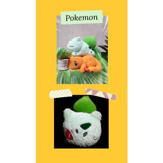 ตุ๊กตาโปเกม่อน 🇯🇵 ตุ๊กตาญี่ปุ่นลิขสิทธิ์แท้💯 Pokemon plush🇯🇵  Hitokage / ฮิโตคาเงะ ฟุชิกิดาเนะ