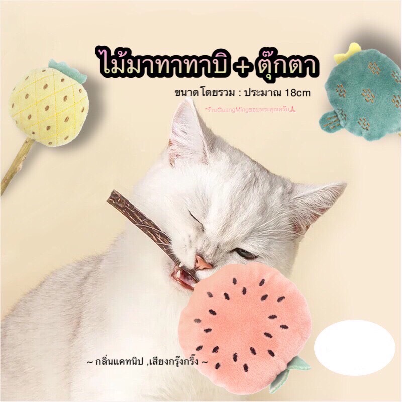 ไม้มาทาทาบิ ก้านมาทาทาบิ ขัดฟันแมว ไม้แมวเมา matatabi (พร้อมส่ง )