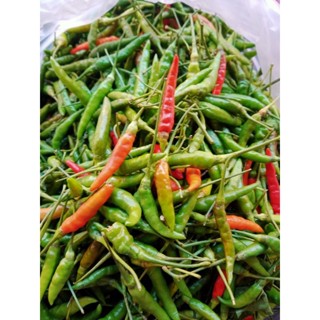 🌶️พริกขี้หนูสวนเม็ดใหญ่เก็บสดๆจากไร่ขายถูกรับประกันคุณภาพ1kg👍👍👍