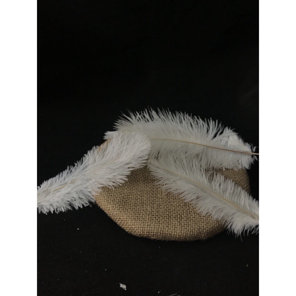 1 ชิ้น 15 ซม. - 40 ซม. OSTRICH FEATHER | ตกแต่ง | แฟชั่น แฟชั่น | แฮร์พีช