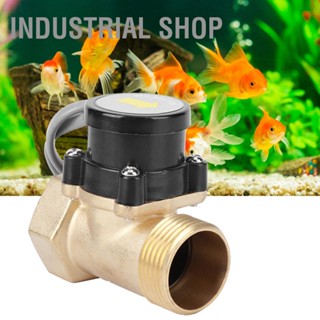 Industrial Shop ปั๊มน้ำ Flow Sensor ทองเหลืองอิเล็กทรอนิกส์ความดันสวิตช์ควบคุมอัตโนมัติ G1in HT‑30 1‑1 110V