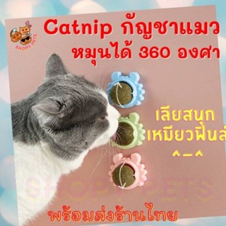 Fidoz factory กัญชาแมวติดผนัง catnip แมว ลูกบอลกัญชาแมว ของเล่นแมว