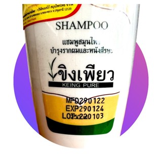 แชมพูขิงเพียว-ขวดขาว ( 250มล )&lt; 1แถม1 &gt;