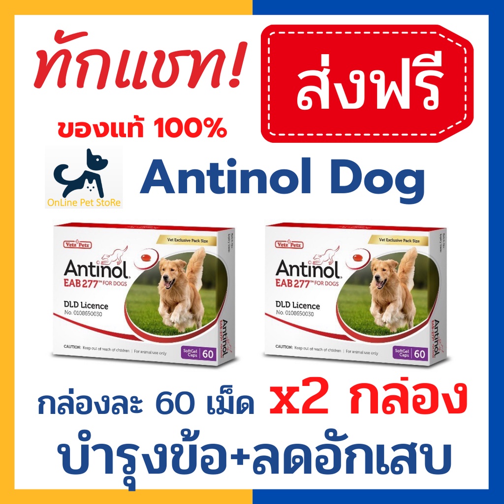 [2 กล่อง] หมดอายุ 9/2025 +บำรุง ข้อ+ Antinol dog แอนทินอล สุนัข 60 เม็ด/กล่อง เลขทะเบียนอาหารสัตว์ 0108550014