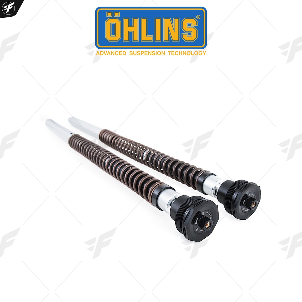 สปริงโช๊คหน้าแต่ง OHLINS Front Cartridge FKA 110 : for Honda CRF1100 Africa Twin DCT (Showa) 20-22