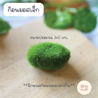 โมเดลก้อนมอส เต่าทอง สำหรับทำโมเดล ตกแต่งสวนถาด สวนโหลแก้ว บ้านตุ๊กตา Miniature Diorama