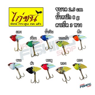 กระดี่ไก่ชนตัวเล็ก ขนาด 8 กรัม