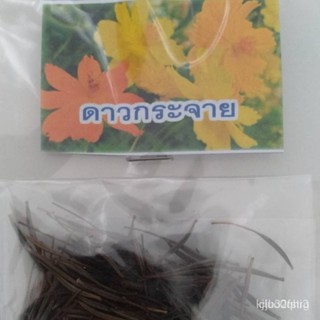 ผลิตภัณฑ์ใหม่ เมล็ดพันธุ์ 2022เมล็ดพันธุ์ ดาวกระจายสีเหลือง  ดอกคอสมอส Yellow  Cosmos Flower Seed   ซองละ25 บาท /ต้นอ่อน