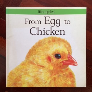 หนังสือชุด LifeCycles เรื่อง From Eggs to Chicken