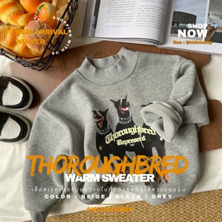 Thoroughbred warm sweaterบุขนแกะนิ่ม อุ่น เท่ห์มากก