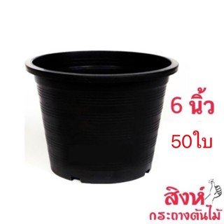 กระถาง  6 นิ้ว 50 ใบ