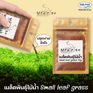 เมล็ดพันธ์ไม้น้ำ Small Leaf Grass by Medifish ปลูกง่าย โตไว ปริมาณ10g