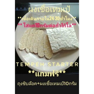 เชื้อเทมเป้ 50g.(Tempeh starter Powder) **เชื้อเจริญภายใน24-30ชั่วโมง ไม่ต้องรอนาน สามารถทานได้เลย แุถมฟรีถุงซิปล๊อค10ใบ