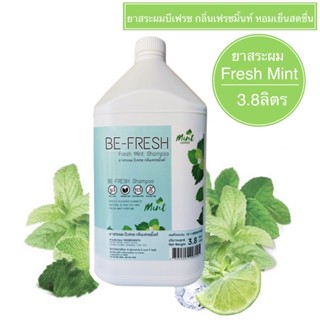 ยาสระผมบีเฟรช ขนาดใหญ่ สุดคุ้ม แกลลอน 3800ml./229บ.