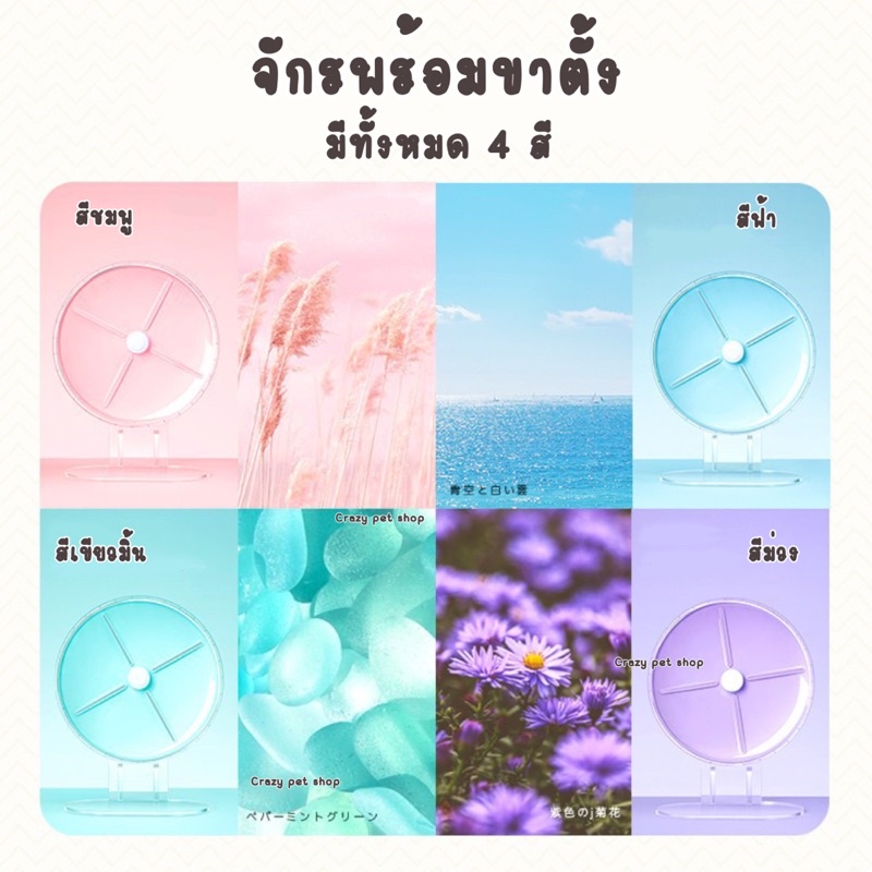 [ crazy pet shop ] จักรวิ่งอคริลิค+ขาตั้งอคริลิคYee สำหรับแฮมสเตอร์ทุกสายพันธุ์ ราคา ถูกที่สุด ดีลบีเคเค แกลเลอรีภาพที่ 4