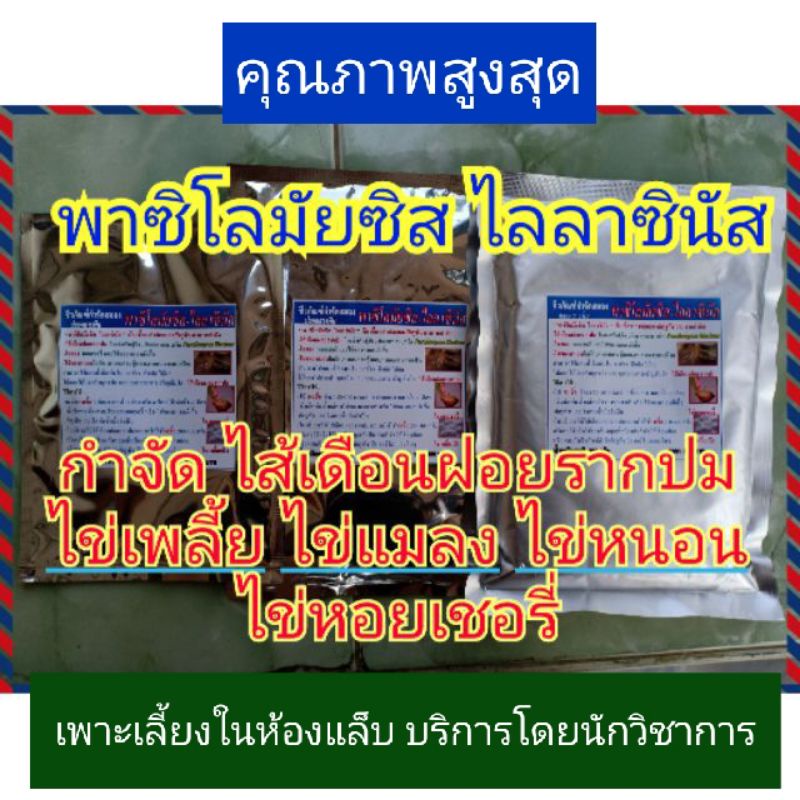 หัวเชื้อพาซิโลมัยซิส ไลลาซินัส ชีวภัณฑ์ปลอดสารพิษ (แก้ไส้เดือนฝอยรากปม กำจัดไข่เพลี้ย ไข่แมลง ไข่หนอน) ขนาด 500 กรัม