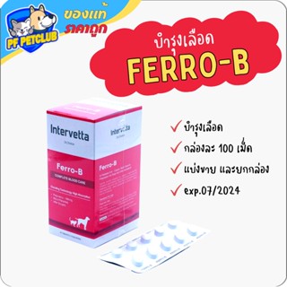 Dr.Choice Ferro-B บำรุงเลือด 💕 ยกกล่อง 100 เม็ด