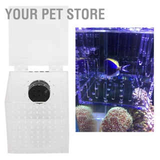 Your Pet Store กล่องเพาะพันธุ์ปลา แบบแม่เหล็ก สําหรับตู้ฟักไข่เด็ก