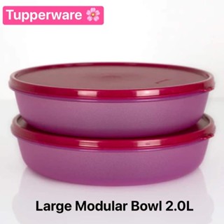 Tupperware รุ่น Large Modular Bowl ทรงแบน