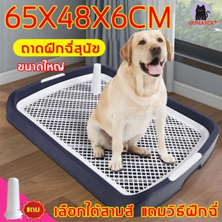 🐕💦OUMANDI ห้องน้ำสุนัข xxl 65x48x5cm  ถาดฉี่สุนัข มีตะแกรงรองถาด ถาดฝึกฉี่สุนัข ห้องน้ำหมาใหญ่ แบบมีเสา 🐶🧺