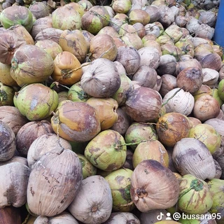 มะพร้าวอบแห้ง ไม่คั้นกะทิออก(500g) คีโต(Keto)