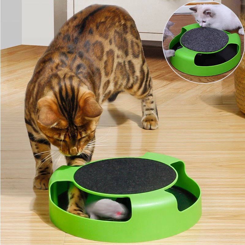 พร้อมส่ง ของเล่นแมวไล่จับหนู เกมส์แมวจับหนู Catch the Mouse motion cat toy