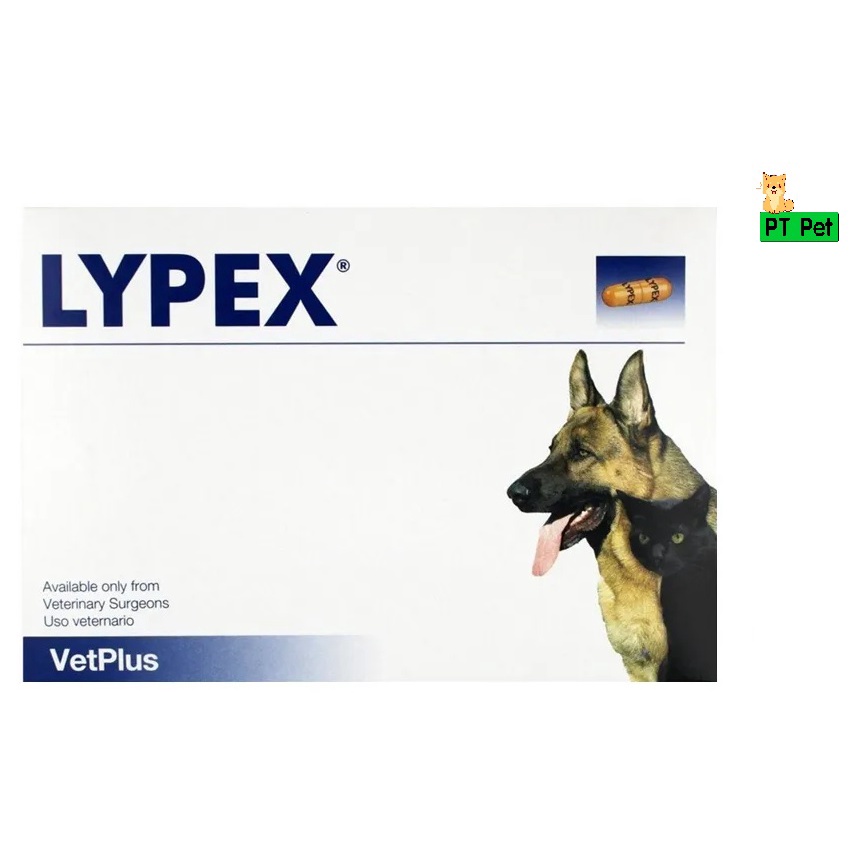 Lypex เอมไซม์อาหารเสริมบำรุงตับอ่อน เสริมการทำงานระบบช่วยย่อยอาหารสำหรับสุนัขและแมว 15 เม็ด