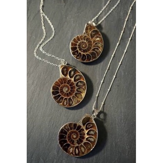1Pc Natural Very Old Fossil Ammonite Pendant Fossil Opalescent Fossil Pendant Available With Silver Chain.
