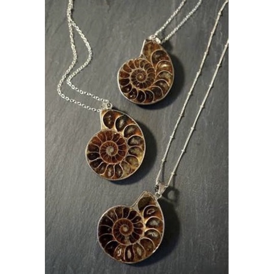 1Pc Natural Very Old Fossil Ammonite Pendant Fossil Opalescent Fossil Pendant Available With Silver 