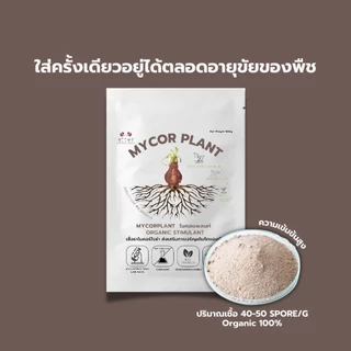 ไมคอร์ไรซ่า ซื้อ1แถม1 (500กรัม) เร่งราก รากเยอะ พืชโตเร็ว ความเข้มข้นเชื้อสูง เพาะเชื้อจากห้องLAB 100%