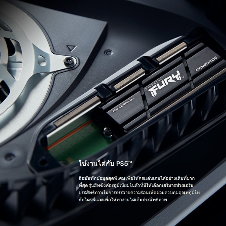 Kingston FURY Renegade with HEATSINK NVMe M.2 SSD 500GB I 1TB I 2TB PCIe 4.0 (SFYR)