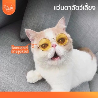 [🔥ลดแรง] PawSociety แว่นตาดำแมว สีเหลืองฉาบปรอท ใส่ถ่ายรูปเก๋ๆ เท่ๆ