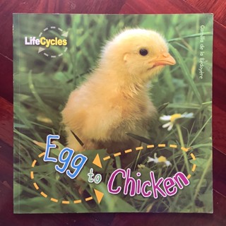 หนังสือชุด LifeCycles เรื่อง From Eggs to Chicken