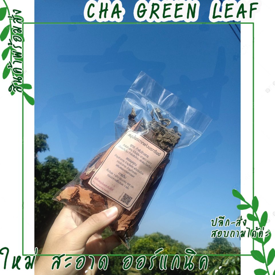 ยาดอง  ยาต้ม สูตร กำลังช้างสาร 1 ซอง 150 กรัม บำรุงโลหิต บำรุงเส้นเอ็น [ChaGreenLeaf]