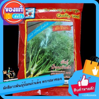 ผลิตภัณฑ์ใหม่ เมล็ดพันธุ์ เมล็ดพันธุ์คุณภาพสูงในสต็อกในประเทศไทย พร้อมส่ง ะให้ความสนใจของคุณเมล็ดอวบอ้วน ผักชีลา/ผักชี Q