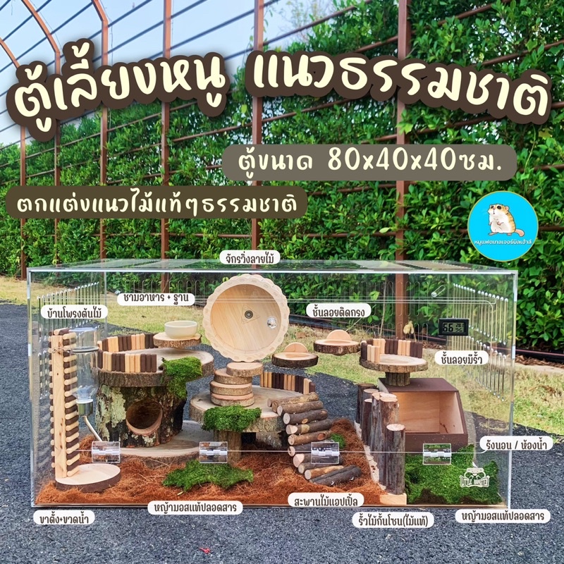 กรงหนู ตู้เลี้ยงหนู แฮมเตอร์ ดอร์เม้าส์ สัตว์เล็ก ตู้อะคริลิค80x40x40ซม.//บ้านหนู/บ้านสัตว์/งานไม้/ธ