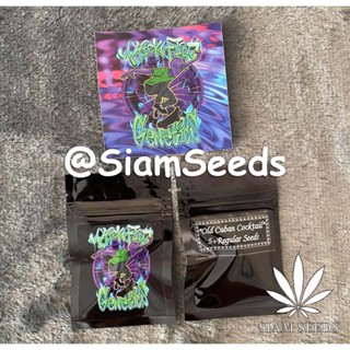 เมล็ดกัญชา Kickflip Genetics Old Cuban Cocktail Regular Cannabis Seeds (Pack of 5+)