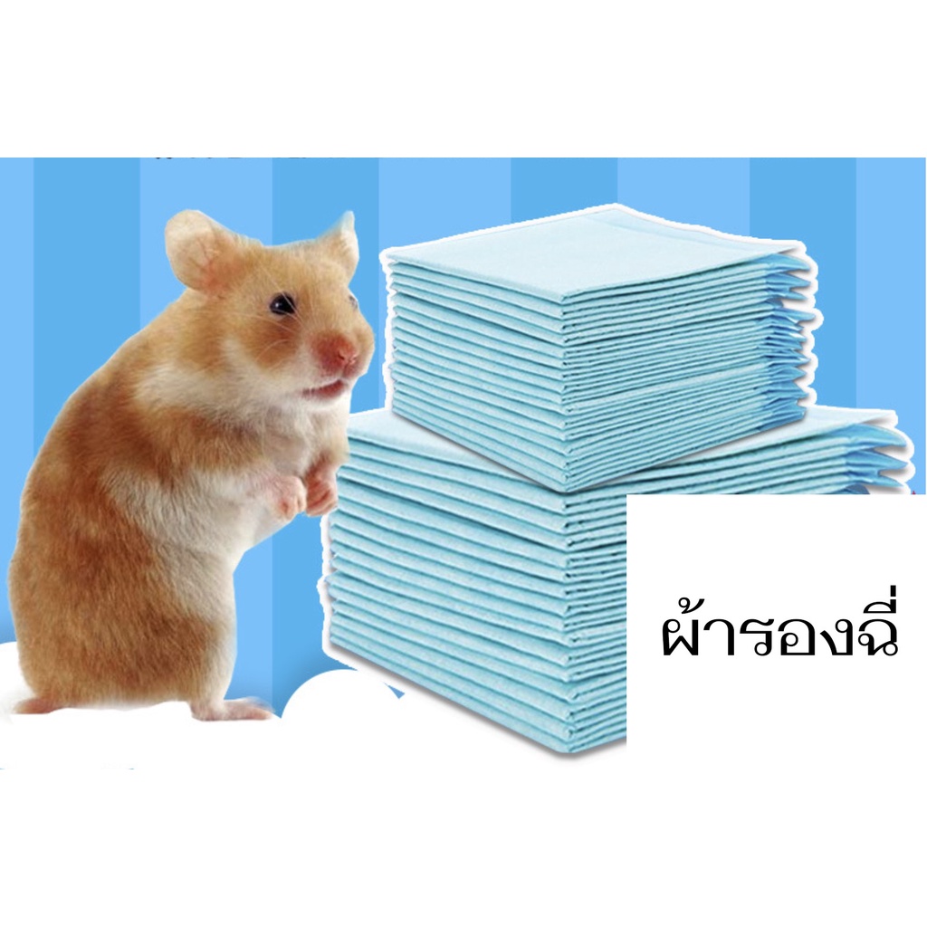 แผ่นรองกรง 1 ชุด 10 ชิ้น ผ้าซับฉี่สัตว์เลี้ยง ซับน้ำดับกลิ่นได้ดีอย่างมาก